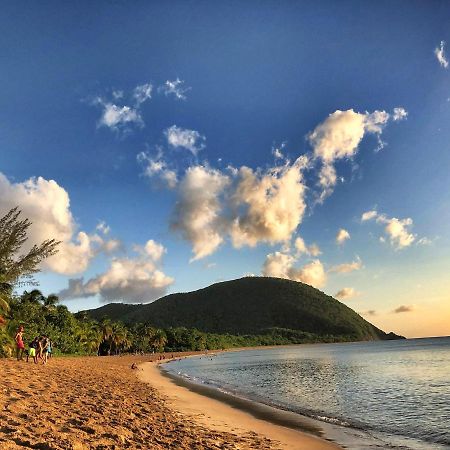 Le Surf Lodge, chambre avec vue mer dans un écrin de verdure Deshaies Extérieur photo