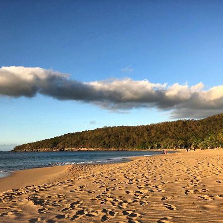 Le Surf Lodge, chambre avec vue mer dans un écrin de verdure Deshaies Extérieur photo