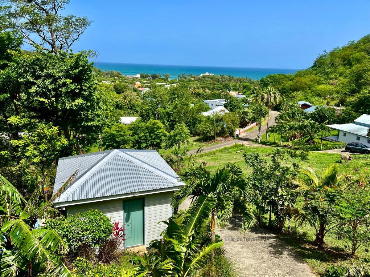 Le Surf Lodge, chambre avec vue mer dans un écrin de verdure Deshaies Extérieur photo